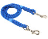 Double ended rope clip lead