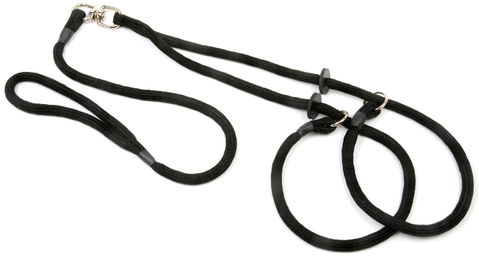 slip leash for dogs