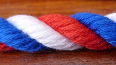 Red, White and Blue Dog Slip Lead